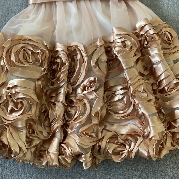 Bonnie Jean dress size 4 - Picture 3 of 5